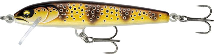 Actual product image Rapala Floater Elite