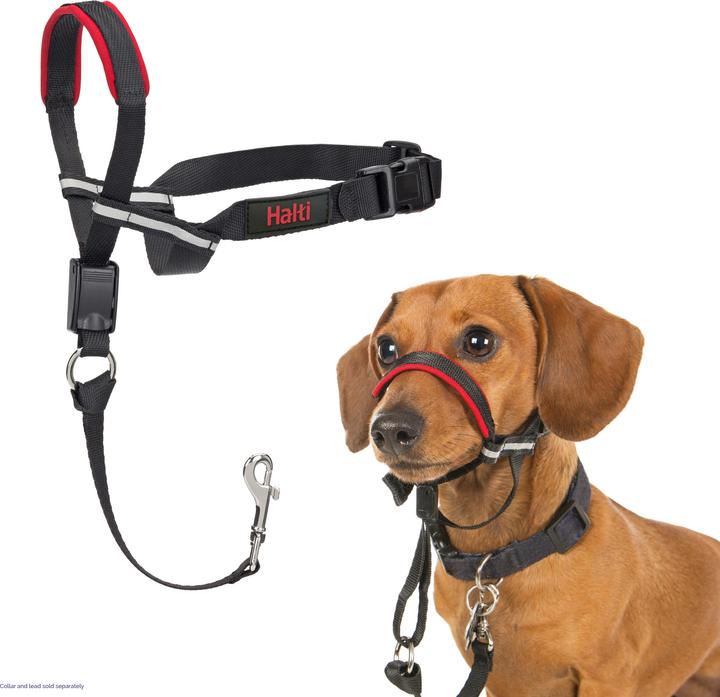 Immagine prodotto Company of Animals Halti Optifit Kopfgeschirr (S, Cane, Passeggiare)