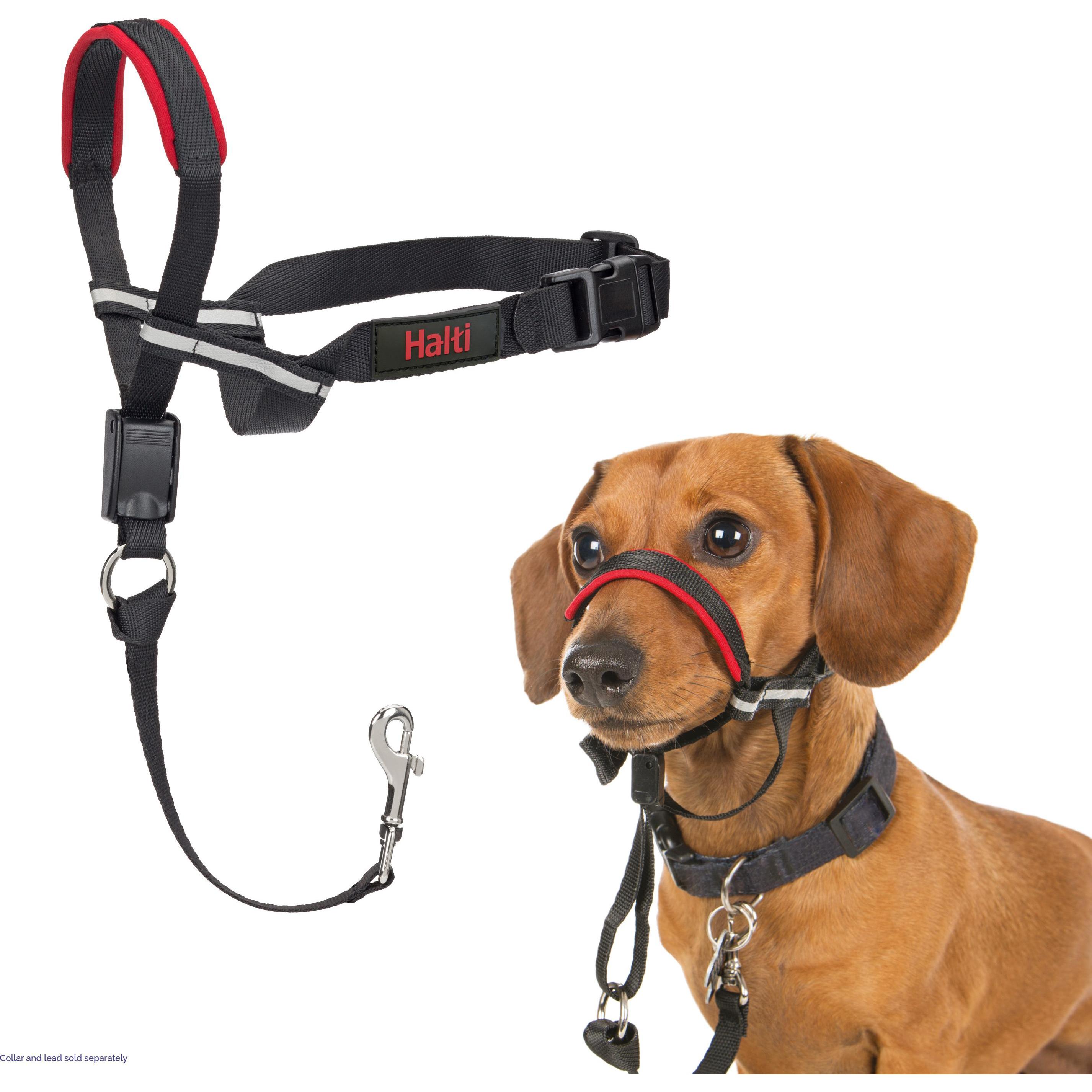 Meilleurs prix pour Company of Animals Halti Optifit Kopfgeschirr (S, Chien), Collier + laisse