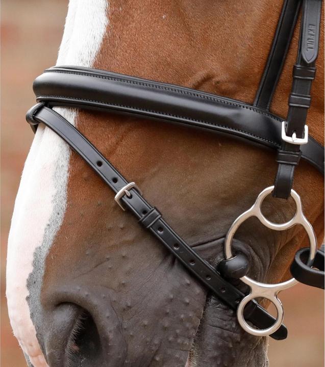 Image du produit Premier Equine Delizioso