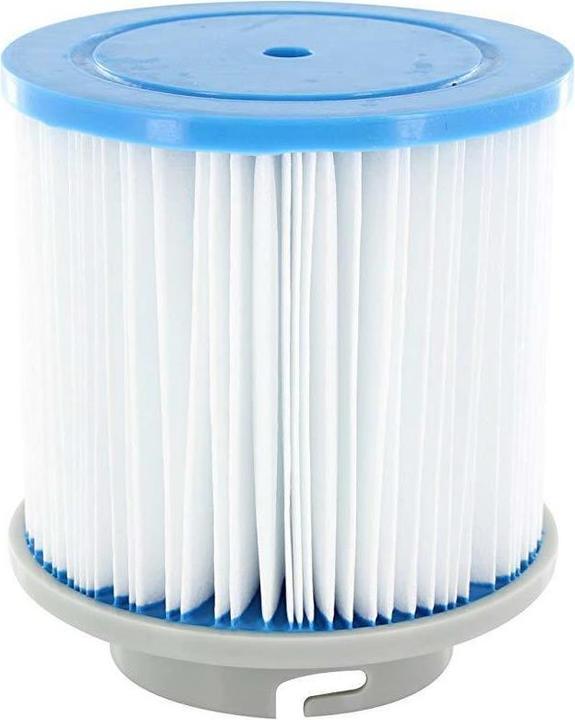 Actual product image Bestway filter cartridge