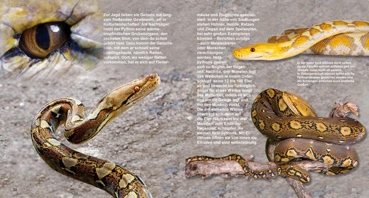 Produktbild Riesenschlangen (Deutsch, Andreas Fischer-Nagel, Heiderose Fischer-Nagel, 2021)