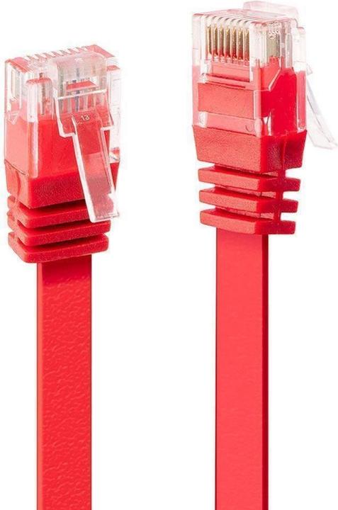Actual product image Lindy Network cable (UTP, CAT6, 0.30 m)