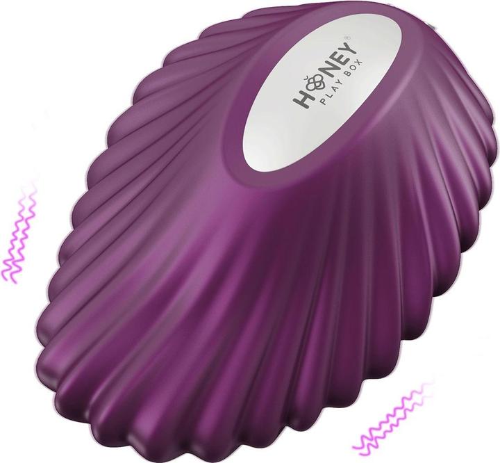 Immagine prodotto Honey Play Box Magnetic Panty Vibrator Purple