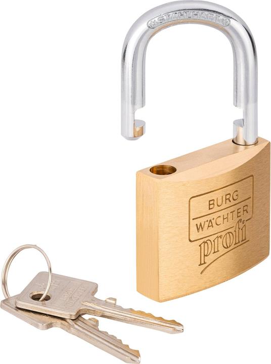 Actual product image Burg Wächter Padlocks 116 Profi