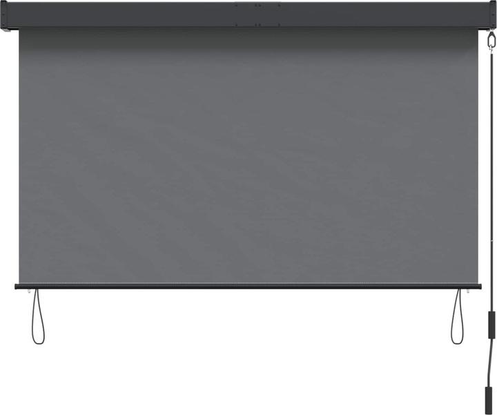 Produktbild vidaXL Outdoor Rollo (120 x 250 cm)