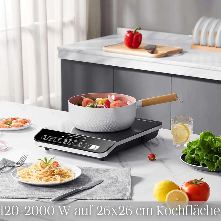 Produktbild Steinborg Induktionskochplatte