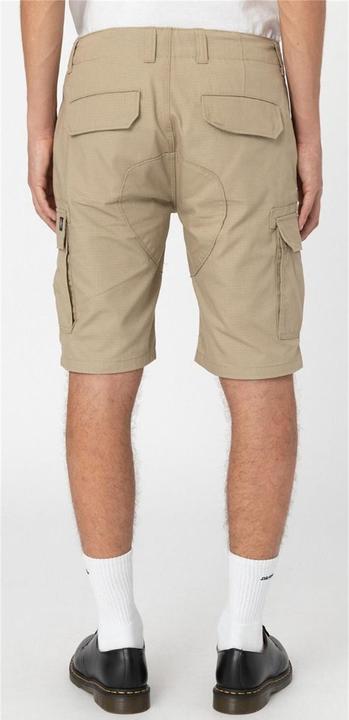 Actual product image Dickies Millerville Shorts (34)