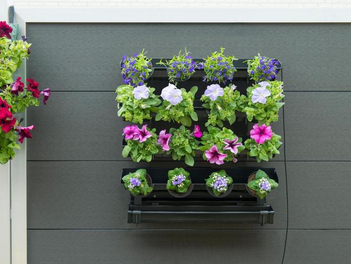 Immagine prodotto Nature Set di estensioni per pareti vegetali