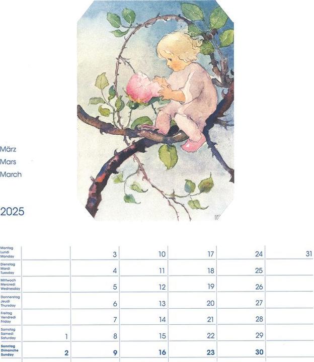 Immagine prodotto Cosa Calendario fotografico Mili Weber