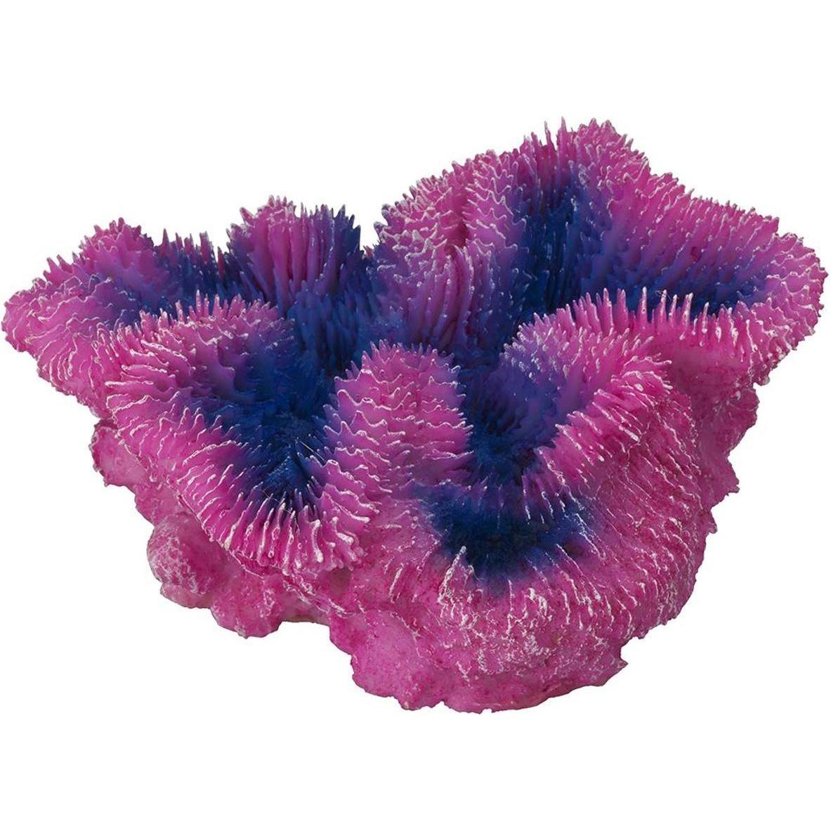 Thumbnail - EBI Aqua Della Coral Symphylia (Dekoration, sonstige Gegenstände), Aquarium Dekoration