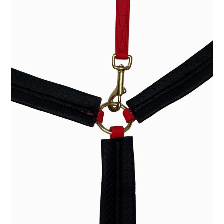 Image du produit TdeT Collier de chasse pour cheval