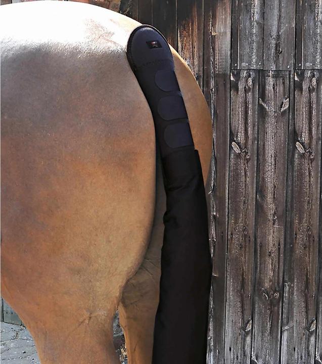 Image du produit Premier Equine Protège-queue avec sac abn (Taille unique)