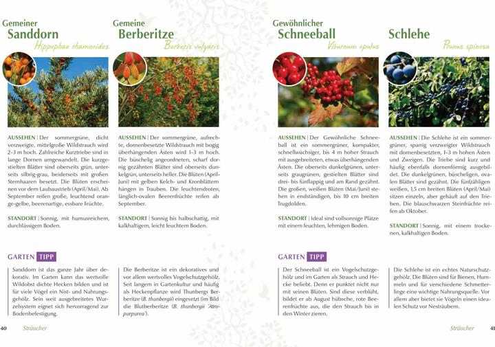 Produktbild Mein vogelfreundlicher Garten (Deutsch, Ursula Kopp, 2018)