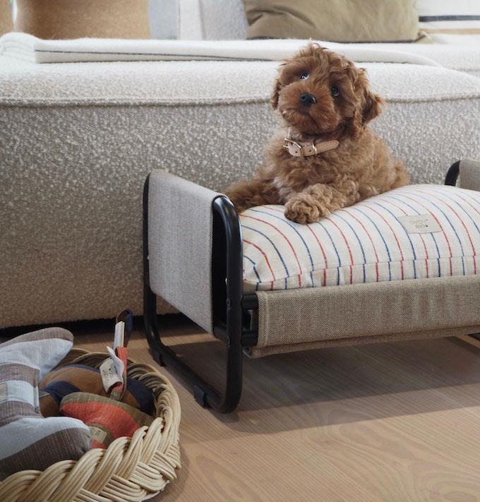 Immagine prodotto OYOY Zoo ZOO - Letto per cani Milo Medio - Beige/Nero (Z60017) (Cane)