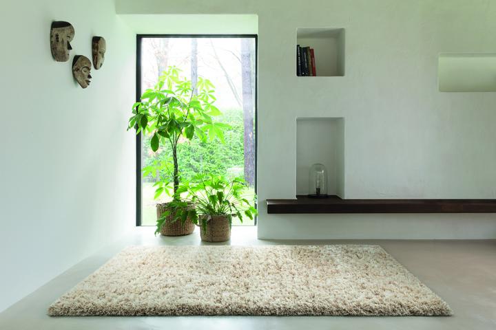 Immagine prodotto Hemera (300 x 220 cm)