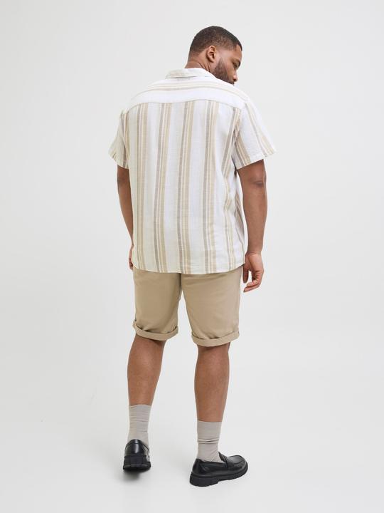 Produktbild Jack & Jones Plus Size Relaxed Fit Hemd Hemd (3XL)