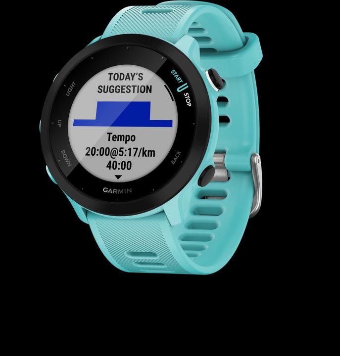 Immagine prodotto Garmin Forerunner 55 (42 mm)