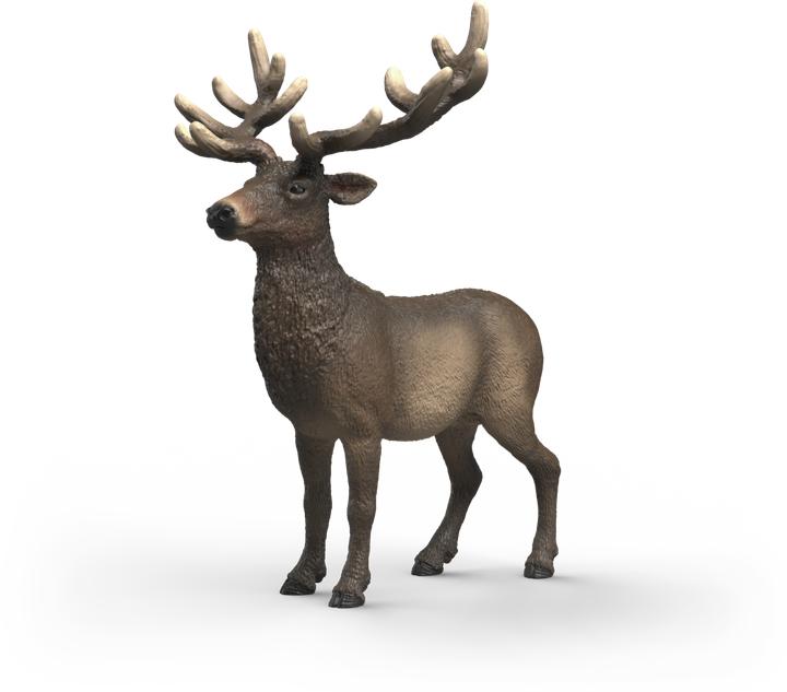 Image du produit Schleich Amerikanischer Rothirsch