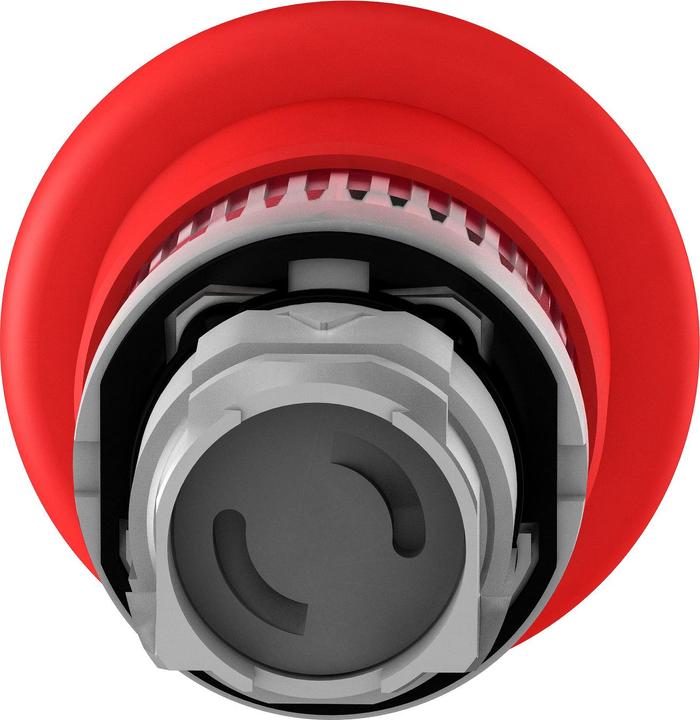 Actual product image Schneider Electric Pushbutton head ZB4BT84