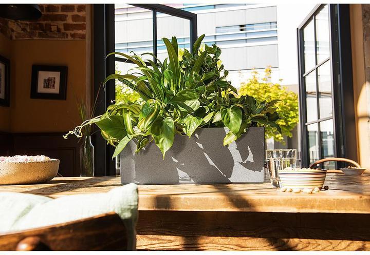 Produktbild Lechuza Balconera Stone (50 x 19 x 19 cm)