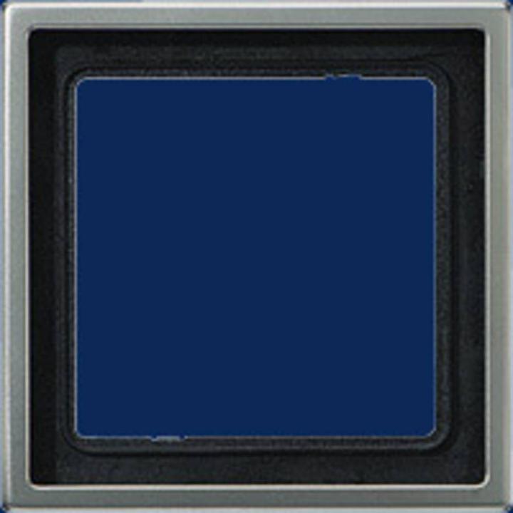 Actual product image JUNG Frame