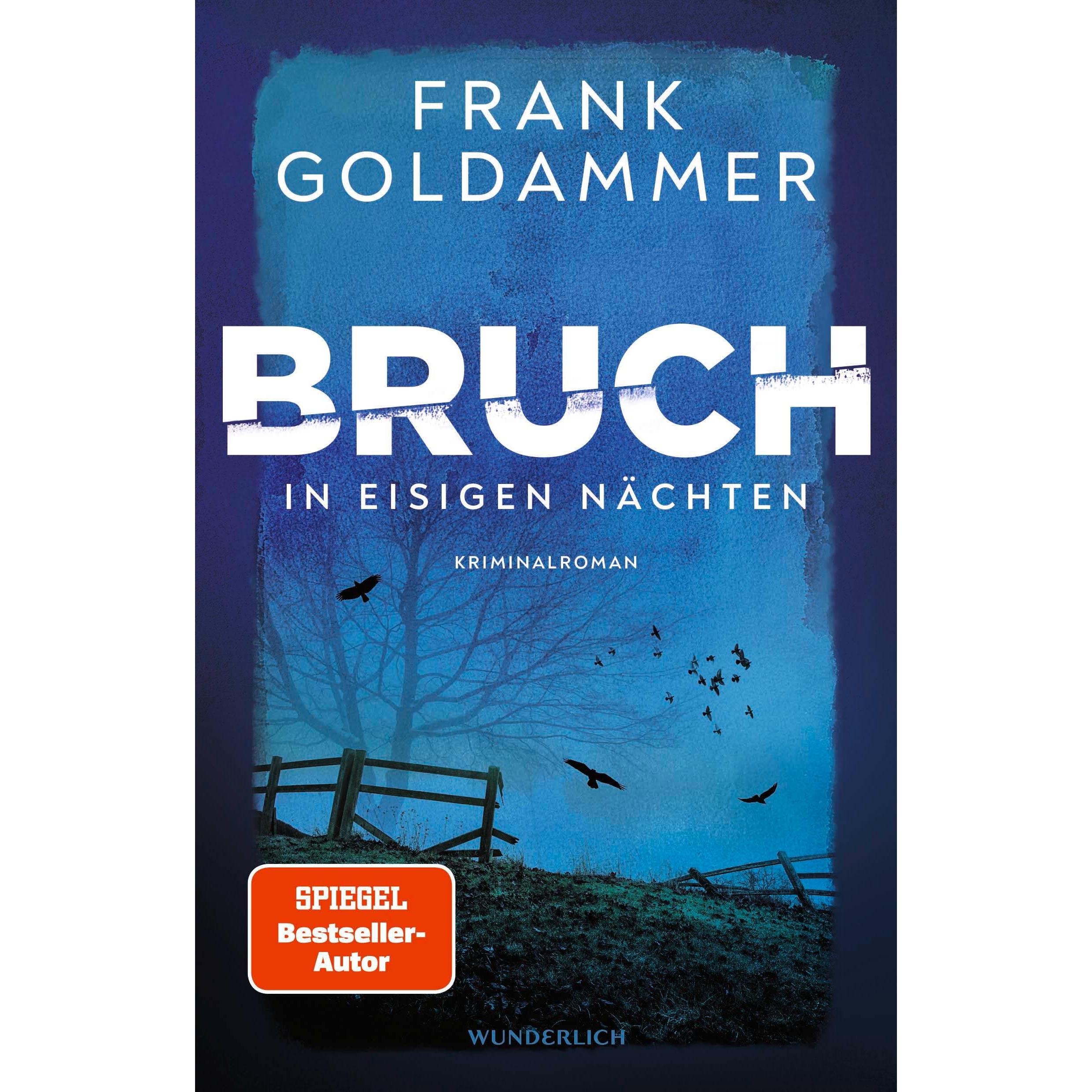 Bruch: In eisigen Nächten, Belletristik von Frank Goldammer