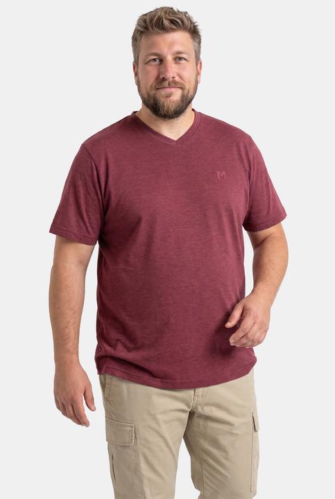 Actual product image Men+ T-Shirt, Basic, Halbarm, V-Ausschnitt (L)