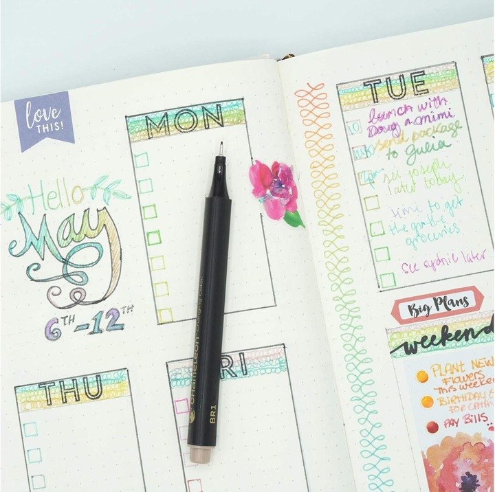 Actual product image Chameleon Fineliner Set (Multicoloured, 6 x)