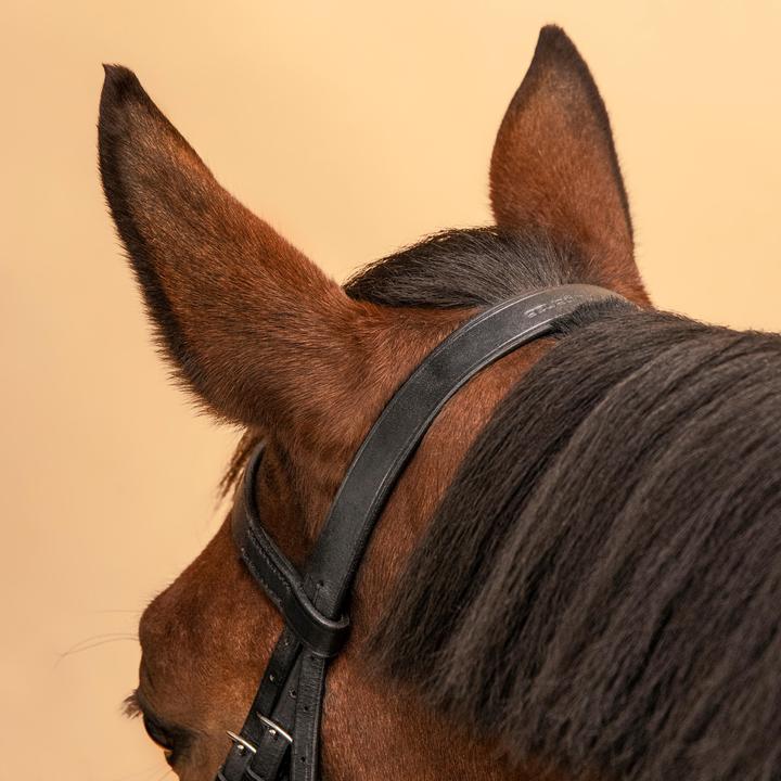 Actual product image Fouganza Snaffle Schooling Leather