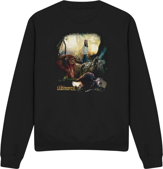 Produktbild Sweatshirt (XXL)