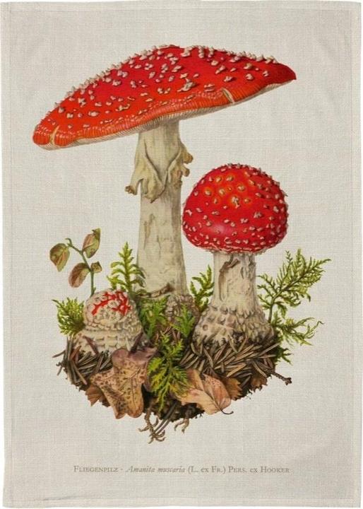 Sköna Ting Küchentuch - Fliegenpilz (50 x 70 cm)