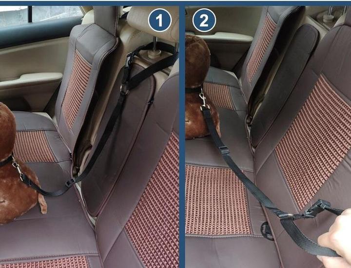 Actual product image Hermex Safety Leash Seat Belt Car Back Seat Dog Leash Black (Dog, Safety closure)