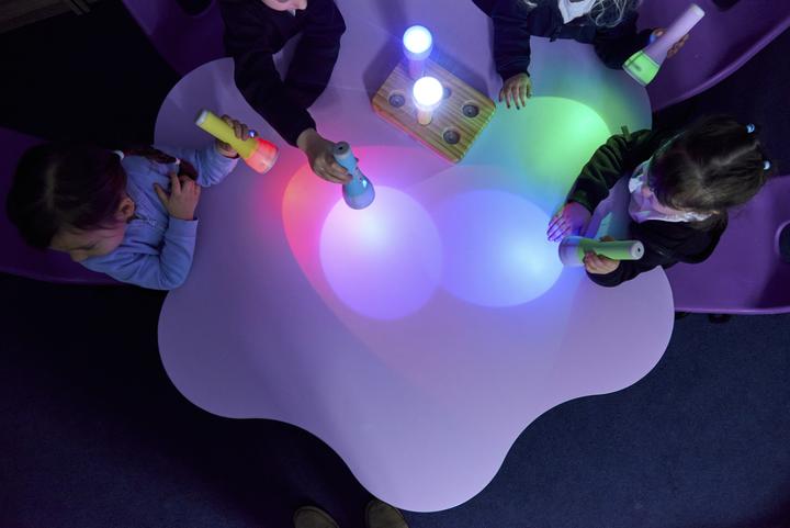 Actual product image TTS Taschenlampen Easi-Torch (15.60 cm)