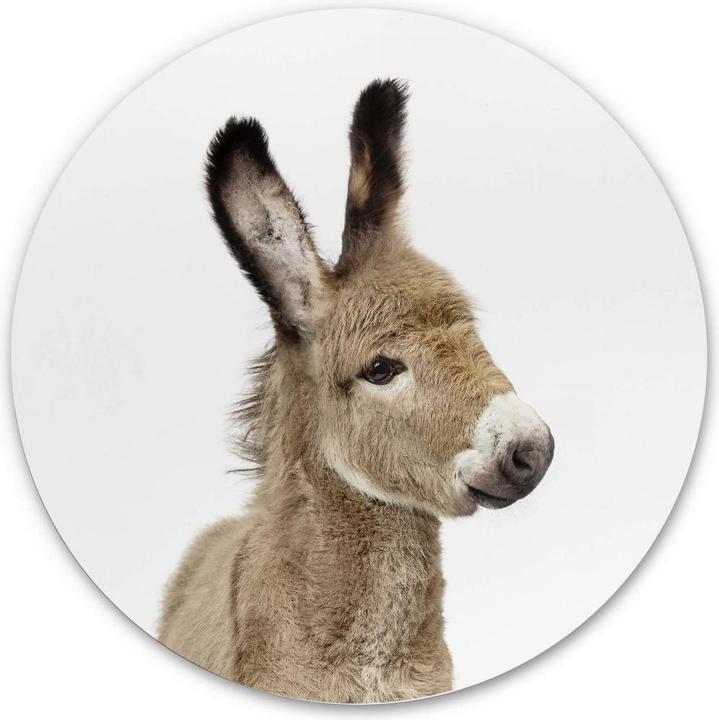 Immagine prodotto Trenddeko Asino bambino (Ø 30 cm)