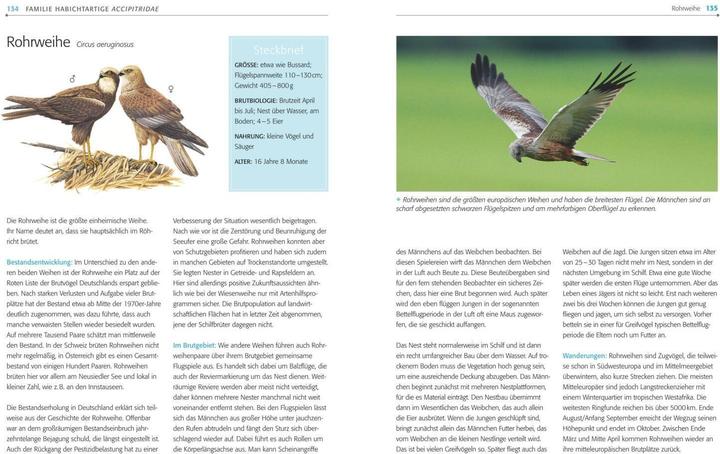 Immagine prodotto Das Handbuch Vögel (Tedesco, Einhard Bezzel, 2019)