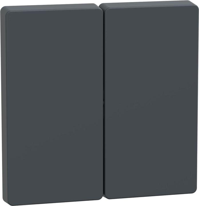 Merten Rocker for series switch MEG3400-6034 anthracite