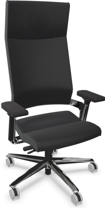 Cuir Premium Noir, Poli