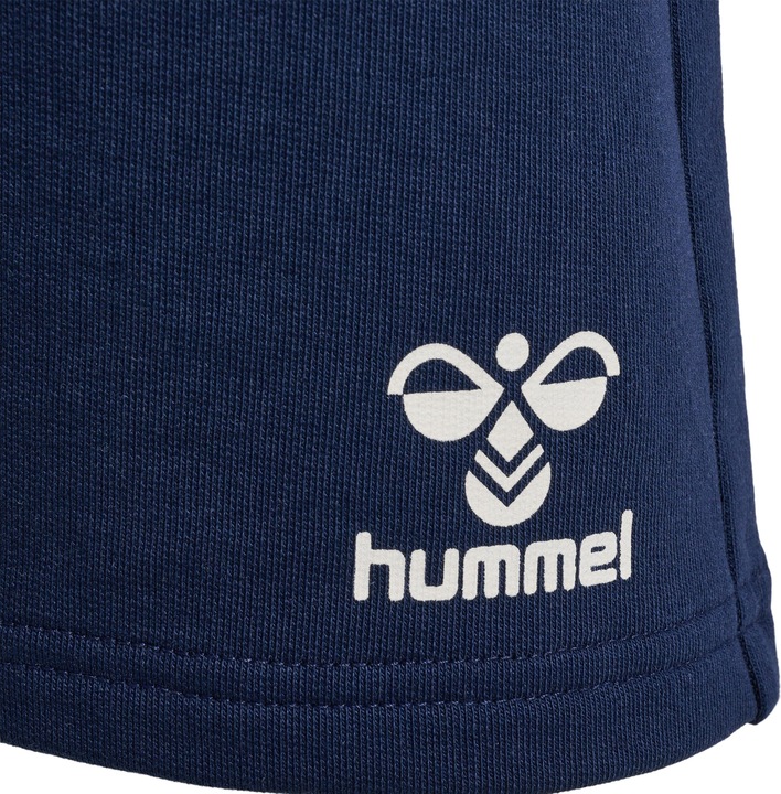Image du produit hummel Hmlflow Shorts (122)