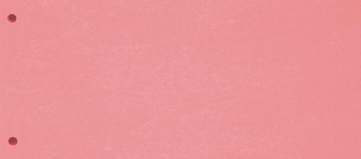 Actual product image Exacompta Separating strips cardboard