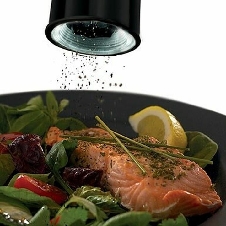 Actual product image Russell Hobbs Spice shaker salt and pepper shaker set (Salt, Pepper)