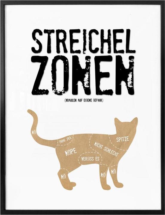 Actual product image Trenddeko Petting zones - cat (30 x 40 cm)