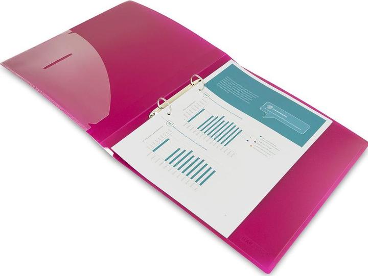 Actual product image Rapesco Ringbücher (A4, 37 mm, 10 pcs.)