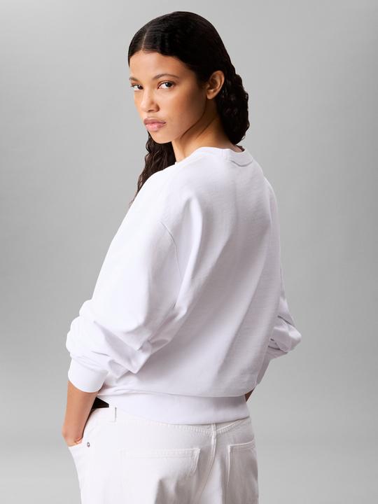 Actual product image Calvin Klein Jeans Ls Monologo French Terry Rlxd Cr (S)