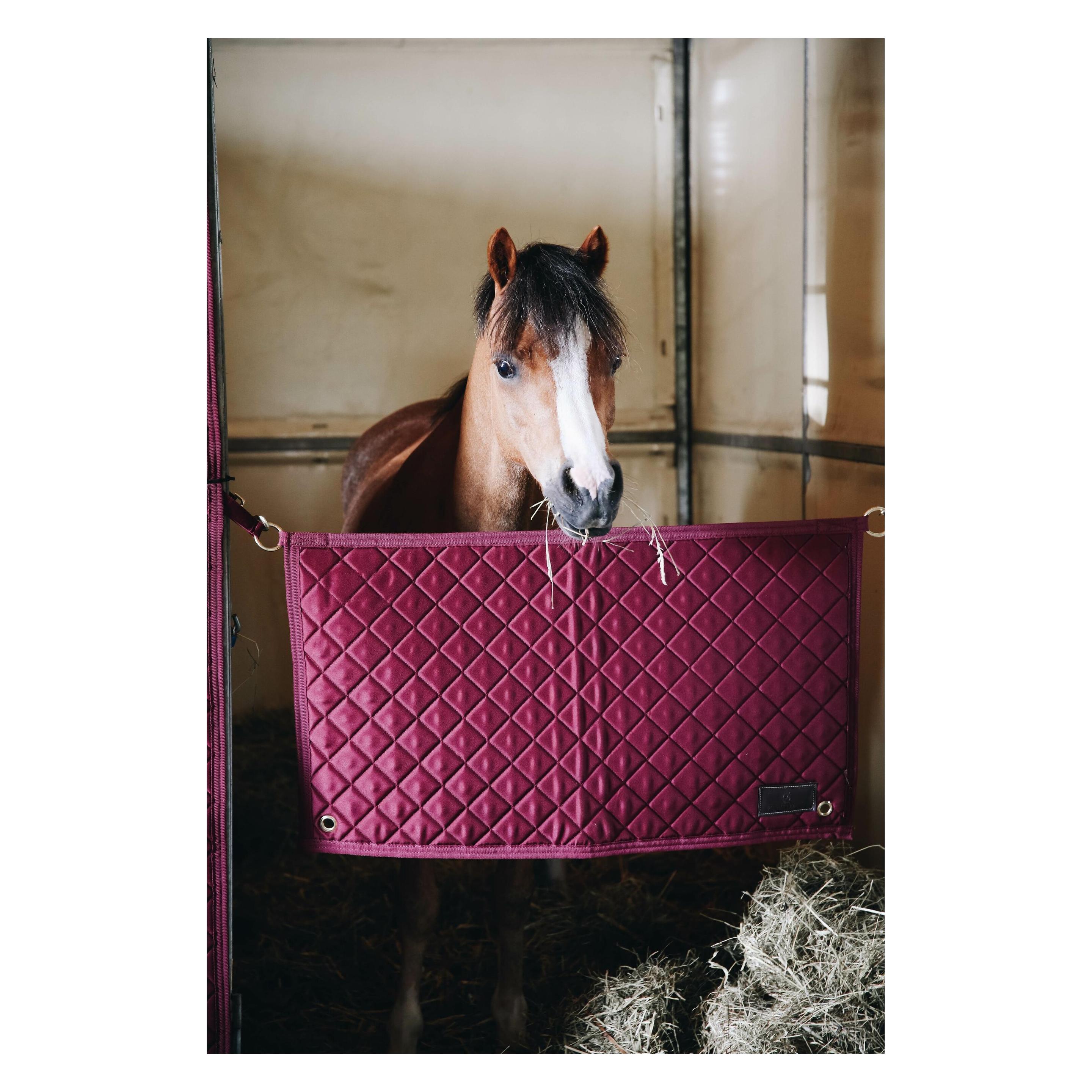 Kentucky Horsewear, Reiterbedarf