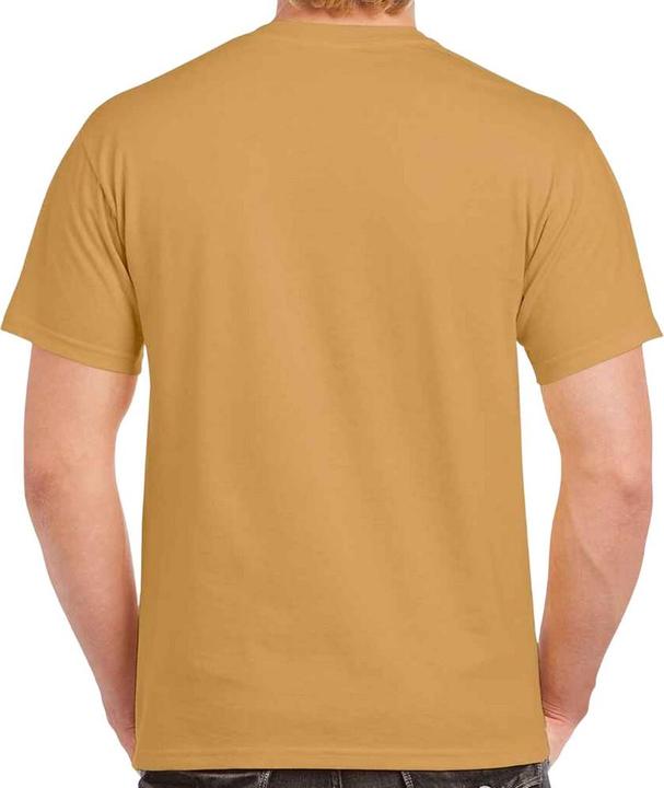 Actual product image Gildan Mens Heavy Cotton T-Shirt (3XL)