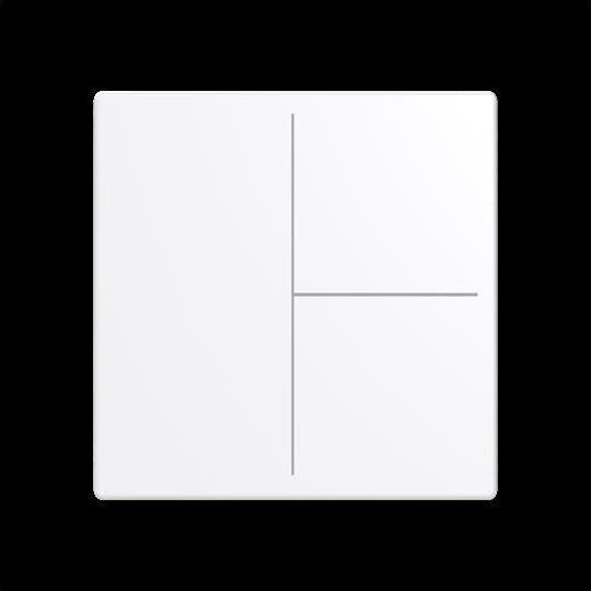 Actual product image Busch-Jaeger Cover