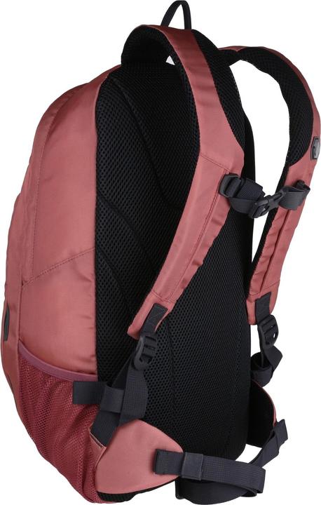 Produktbild Regatta Outdoors Altorock II Rucksack mit 25 Liter Kapazität (25 l)
