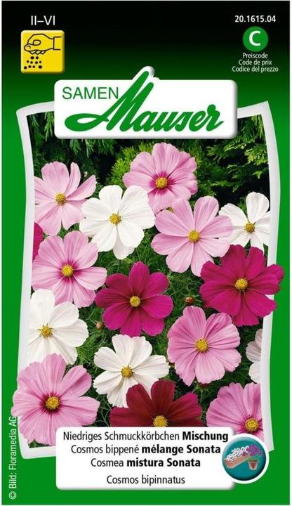 Image du produit Samen Mauser Mélange de paniers à bijoux bas (Graines de plantes)