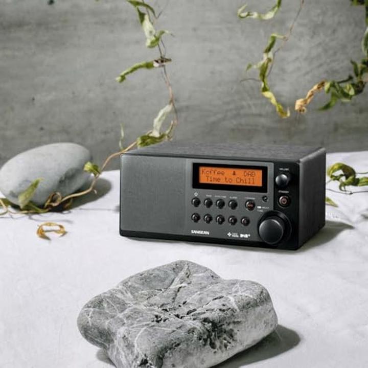 Actual product image Sangean Ddr-31+ (DAB+, FM)